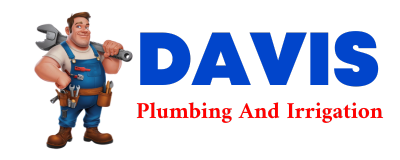 Trusted plumber in LORENA